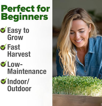 HOME GROWN Broccoli Seeds 8 oz - for Sprouting or Microgreens 𝗡𝗢𝗡-𝗚𝗠𝗢 𝗨𝗦𝗔-𝗦𝗢𝗨𝗥𝗖𝗘𝗗 High Germination Sprout Seeds Nutritious Micro Greens - Broccoli Sprouts in 5 days - Sulforaphane Rich