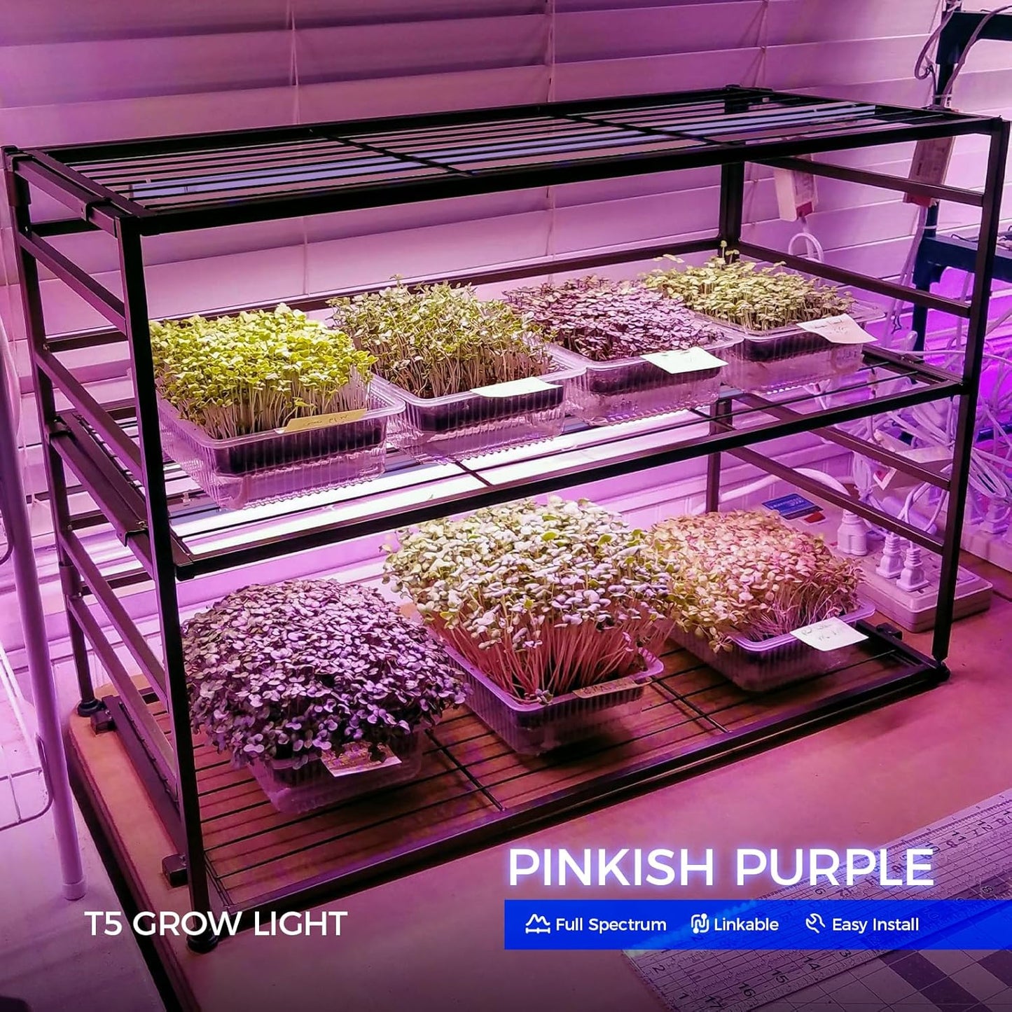 Barrina Grow Lights for Indoor Plants, Full Spectrum, 4ft 160W (8 x 20W), LED Grow Light Strip for Seed Starting, Greenhouse, Plug and Play, 8-Pack