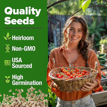HOME GROWN Large Red Cherry Tomato Seeds Pack– 500 High Germination Heirloom Seeds – 𝗡𝗢𝗡-𝗚𝗠𝗢 𝗨𝗦𝗔 Vegetable Seeds for Garden,Homestead & Self-Sufficient Growing(Solanum lycopersicum)
