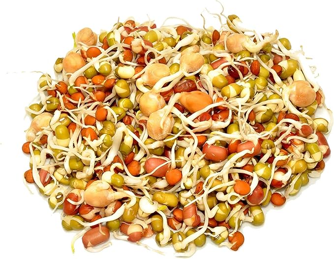 4 Oz - Handy Pantry 5 Part Salad Sprout Mix - Organic Non-GMO Mixed Seeds - Organic Broccoli Sprouting Seeds, Radish Sprout Seeds, Alfalfa Sprout Seeds, Lentil Seeds, and Mung Bean Seeds for Sprouting