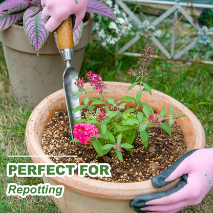 Haliaeetus Seeding Widger, Stainless Steel Garden Planting Trowel for Repotting, Long and Narrow Widger for Weeding from Tight Areas, Hand Transplanter with Wood Handle for Planting, Weeding, Digging