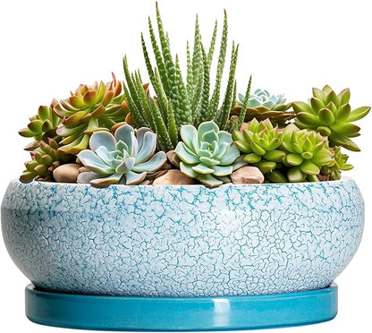 Succulent Pots 8 Inch - Ceramic Bonsai Pots with Drainage Hole and Saucer, Succulent Planters for Indoor Plants Outdoor, Round Shallow Planter Bowl, Porch Decor, Gardening Gifts, Blue