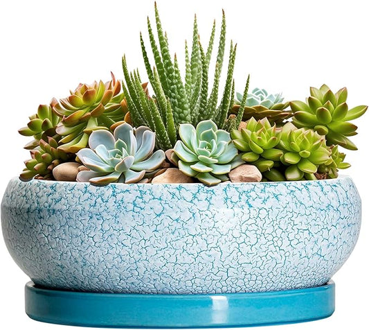 Succulent Pots 8 Inch - Ceramic Bonsai Pots with Drainage Hole and Saucer, Succulent Planters for Indoor Plants Outdoor, Round Shallow Planter Bowl, Porch Decor, Gardening Gifts, Blue