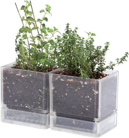 4 Inch Herb Planter Pot, Plastic Planter with Drainage Holes and Saucer, Modern Decorative Gardening Pot for Indoor Plants, Flowers, Herbs, Succulents, Clear, Set of 2, 76-Y-D-2