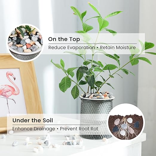 SIDONG 5 LB Natural Mixed Color Gravel Pebbles, 2/5 Inch Small Pea Gravel Stones, Decorative River Rocks for Succulents, Aquariums, Vases, Indoor Plants, Garden Landscaping, DIY