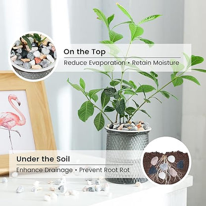 SIDONG 10 LB Natural Mixed Color Gravel Pebbles, 2/5 Inch Small Pea Gravel Stones, Decorative River Rocks for Succulents, Aquariums, Vases, Indoor Plants, Garden Landscaping, DIY