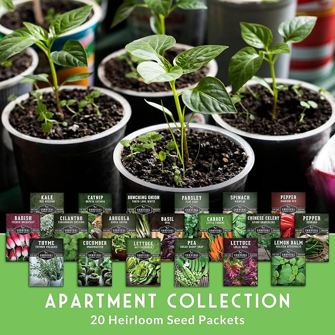 Hydroponic & Indoor Garden Seed Kit – 20 Compact Heirloom Vegetable & Herb Varieties | Apartment, Small-Space, Patio & Vertical Tower Growing | Family Garden Gift – Survival Garden Seeds
