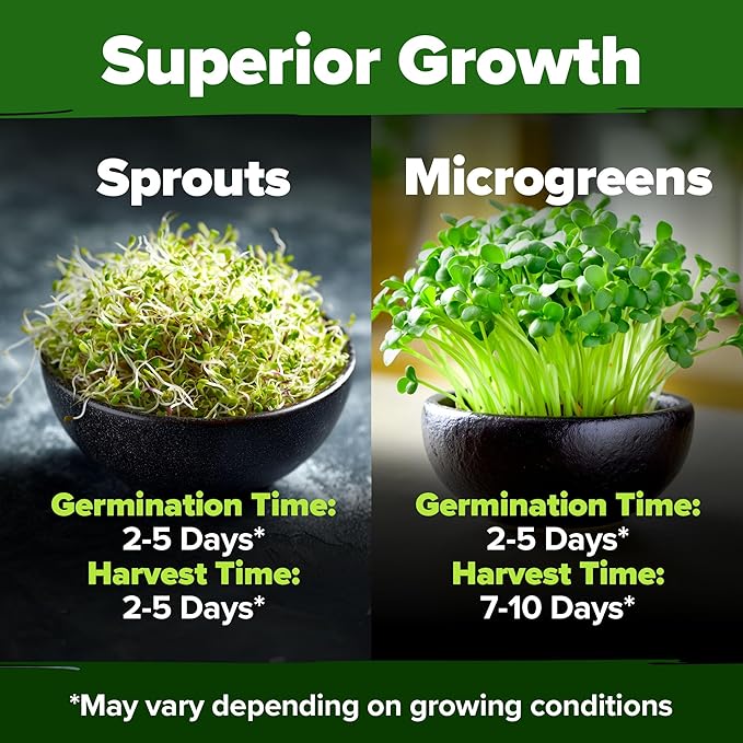 HOME GROWN Premium Sprouting Seeds Mix - Microgreens Seeds for Indoor Growing - Non-GMO Broccoli, Alfalfa, Radish, Clover Sprouts Seed - 16oz Resealable Pack for Healthy Salad & Juicing