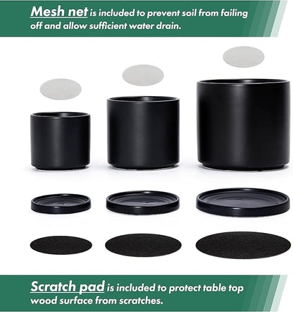 D'vine Dev Black Terracotta Pots for Plants, 4.2 Inch 5.3 Inch 6.5 Inch, Succulent Planter Pot with Drainage and Saucer, 40-T-A-2