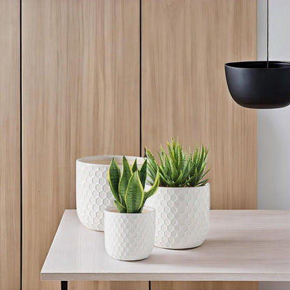 Docrin Plant Pots Indoor with Drainage: 6.4+5.3+4 Inch Ceramic Flower Pots for Plants - Set of 3 Modern Decorative Planters for House/Office/Gift - White Honeycomb