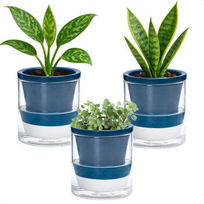 D'vine Dev 4 Inch Design Self Watering Planter for Indoor Plants, Blue Terracotta Pot with Cylinder Glass Cup, Set of 3, 37-Z-A-4-T