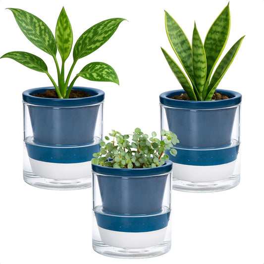 D'vine Dev 4 Inch Design Self Watering Planter for Indoor Plants, Blue Terracotta Pot with Cylinder Glass Cup, Set of 3, 37-Z-A-4-T