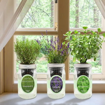 Hydroponic Herb Growing Kit Set, Self-Watering Mason Jar Herb Garden Starter Kit Indoor, Windowsill Herbs Garden, Grow Your Own Herbs from Organic Seeds (Rosemary, Lavender, Oregano)