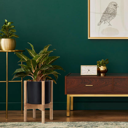 D'vine Dev Planter Pot with Stand - 8 Inch Plastic Cylinder Flower Pot with Wood Planter Holder for Indoor, Matte Black Pot + Natural Stand, 55-C-J-2