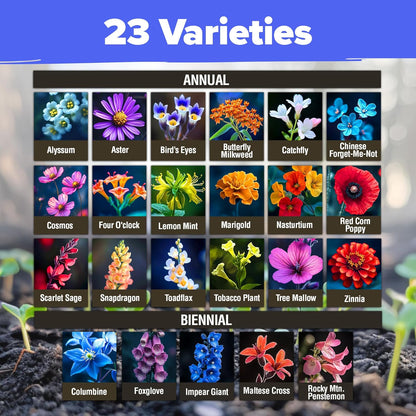 HOME GROWN Wildflower Seeds – 134,000+ Pure 𝗡𝗢𝗡-𝗚𝗠𝗢 𝗨𝗦𝗔 Seeds, No Filler – 23 Varieties Bulk Mix (3oz) for Birds & Butterflies – Annual & Perennial Wild Flowers for Fall Garden Planting