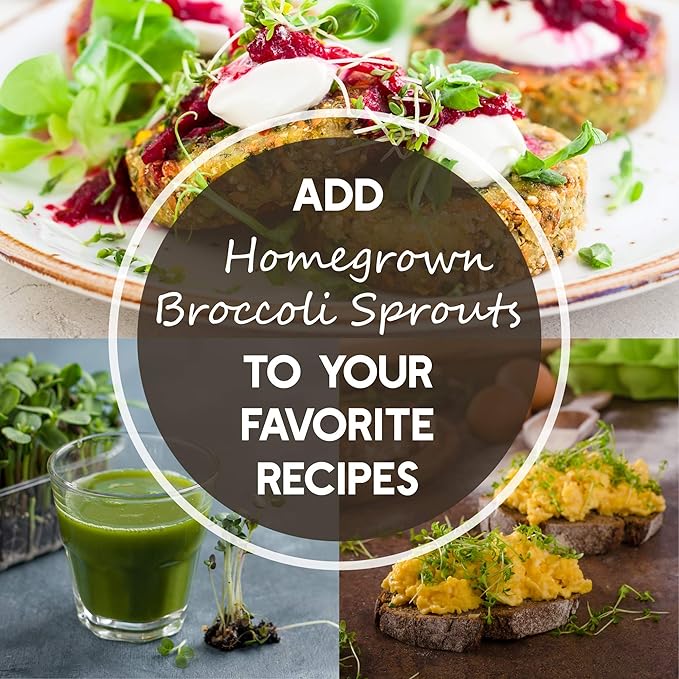 Waltham 29 Broccoli Seeds | Non-GMO Bulk Heirloom Broccoli Seeds for Sprouting, Microgreens, Vegetable Gardening, Garden Salad Garnishes, & More (5 Lb)