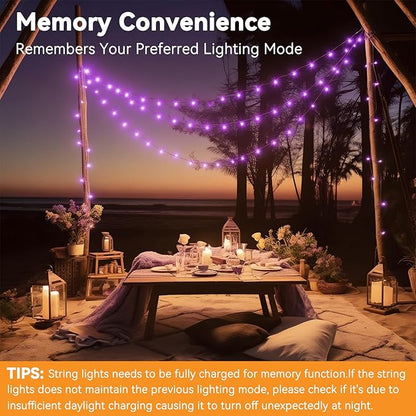 Solar String Lights Outdoor Waterproof 2 Pack Total 66ft 200LED 8 Modes Twinkle Lights Solar Fairy Lights for Patio, Garden Yard Party Wedding Tree Christmas Halloween Decoration, Purple