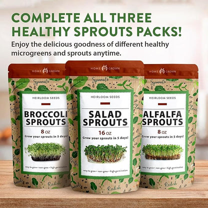 HOME GROWN 𝗨𝗦𝗔 𝗣𝗥𝗘𝗠𝗜𝗨𝗠 Alfalfa Sprout Seeds 16oz Bulk Pack with Thousands of Seeds 𝗡𝗢𝗡-𝗚𝗠𝗢 Alfalfa for Sprouting & Microgreens Indoor Outdoor Growing Resealable Bag High Germination