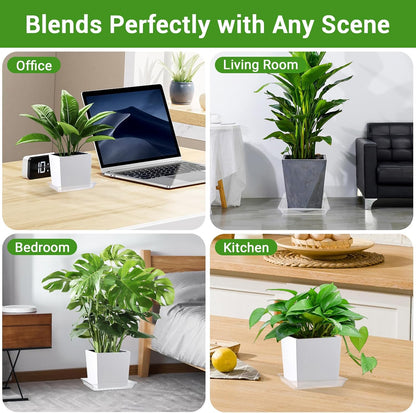 GREANER Square Plant Saucer, 8 Inch Plant Trays for Indoors No Holes, Clear Water Trays for Pots, Durable Flower Pot Saucers for Indoors and Outdoors(6 Packs)