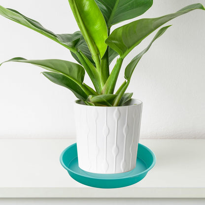 6 Pack Plastic Plant Saucer Water Drip Tray, 4 5 6 7 8 9 10 11 12 13 15 17 19 inch, Heavy Sturdy Plant Drainage Tray for Indoors Outdoor, Flower Saucers for Pots Base (4", Teal)