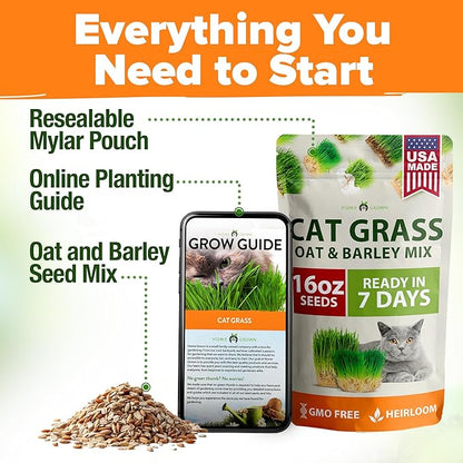 HOME GROWN 𝗨𝗦𝗔 𝗣𝗥𝗘𝗠𝗜𝗨𝗠 1 Pound Cat Grass Seeds for Cat & Kittens Oat & Barley Mix 100% 𝗡𝗢𝗡-𝗚𝗠𝗢 Heirloom, Grow Fresh Kitty Grass for Chewing, Pet Grass for Cats Indoor Garden