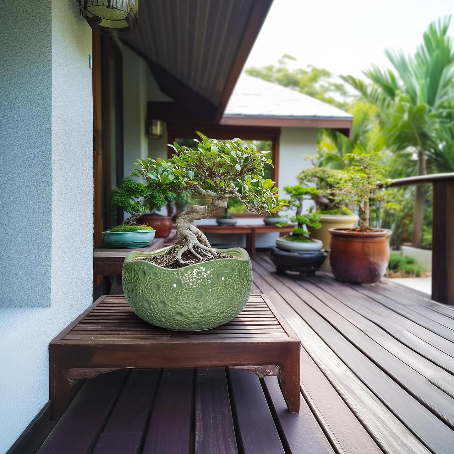 Ceramic Pots for Plants - 10 Inch Plant Pot for Indoor Outdoor, Round Bonsai Pots with Drainage Hole, Modern Planter, Decorative Flower Pot, Living Room Decor, Gifts for Plant Lovers, Green