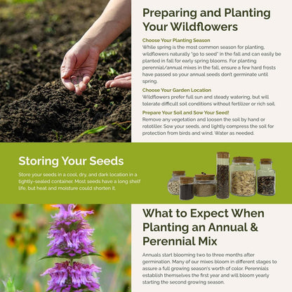 Eden Brothers Pretty in Pink Wildflower Mixed Seeds for Planting, 5 lb, 2,400,000+ Seeds with Candytuft, Rose Mallow | Attracts Pollinators, Plant in Spring or Fall, Zones 3, 4, 5, 6, 7, 8, 9, 10