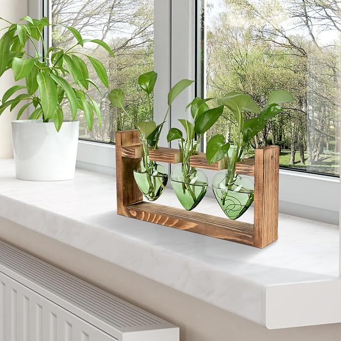 Plant Terrarium Propagation Stations Hydroponics Home Garden Decoration Gift for Women with Wooden Stand Heart Shaped Colored Glass Vase
