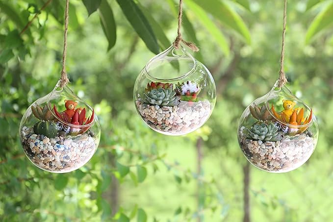 Propagation Station, Plants Terrarium, Plants Lover Gifts for Women,Plant Cutting Holder Home décor,Gifts for Women,House Warming New Home-3 Globe Shape
