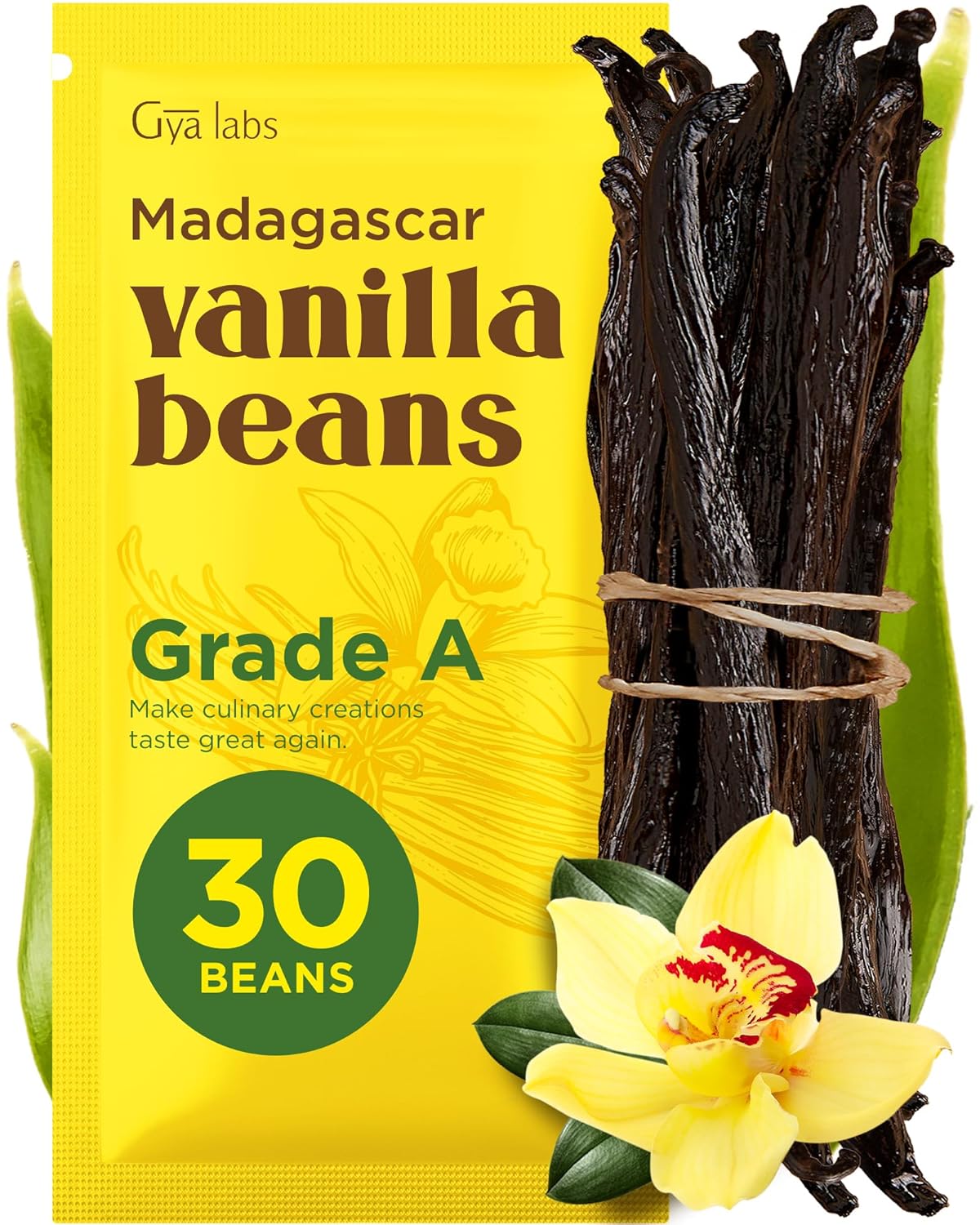 Gya Labs 30 Madagascar Vanilla Beans for Making Vanilla Extract, Baking - Grade A - 5-7 Inches (12 to 15 CM) long, Caviar Rich, Flavorful Fresh Pods