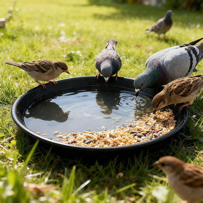 3 Pack Plant Saucer Heavy Duty Sturdy Drip Trays for Indoor and Outdoor (12 Inch, Black)