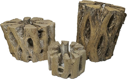 3 Natural Cholla Wood Air Plant Display Holders Tiered 1, 2 & 3 inch Individually Unique Round Decorative Stands