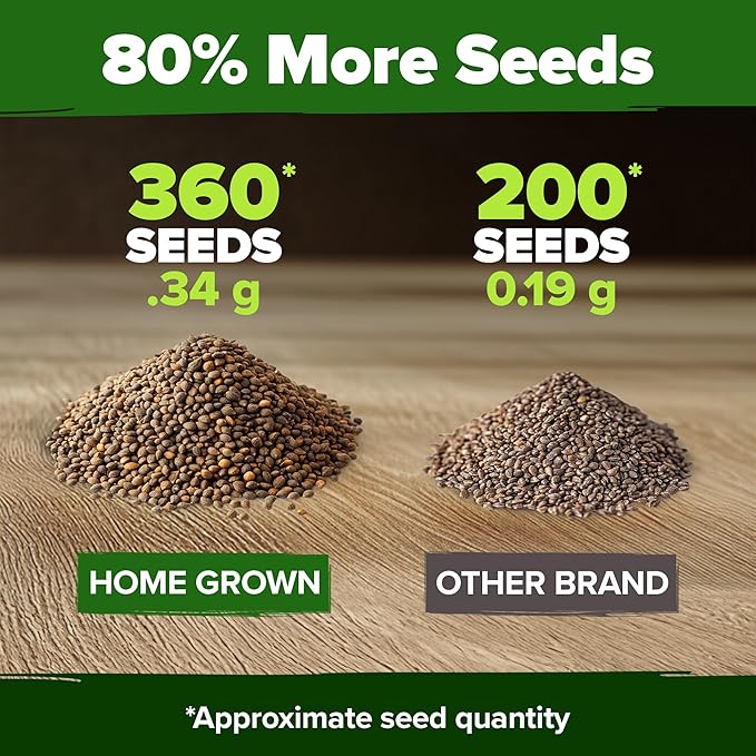 HOME GROWN 𝗨𝗦𝗔 𝗣𝗥𝗘𝗠𝗜𝗨𝗠 Culantro Seeds 360 Herb Seeds for Planting Non-GMO Heirloom Variety, Robust Flavor, Thrives in Heat, Grows Indoors or Outdoors, Cilantro Substitute (Eryngium Foetidum)