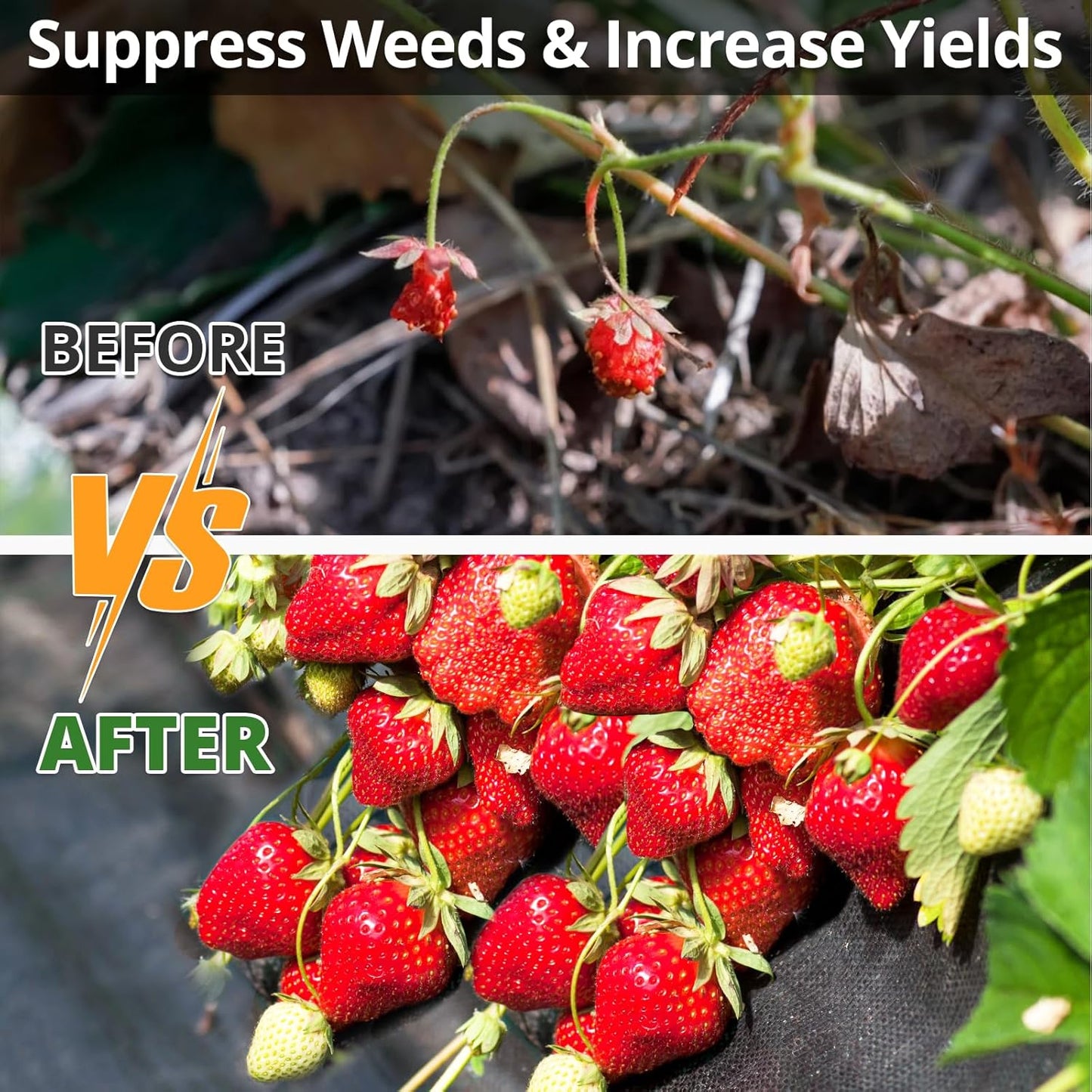 6FT x 300FT Weed Barrier Landscape Fabric, 3.2oz Heavy Duty Woven Geotextile with 60 U-Shaped Pegs & Pre-Printed Cutting Lines, Ground Cover Colth Garden Bed Liner for Landscape, Driveway, Greenhouse