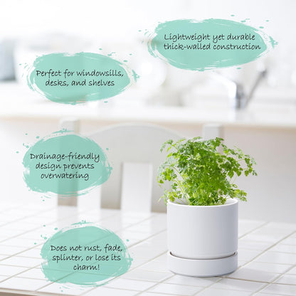 Phoenix Vine 4 Inch and 6 Inch Planter Pot with Drainage Hole & Deep Water Catch Tray Saucer, Straight Cylindrical Round Pot for Plants, Matte White, 23-A-1-Z