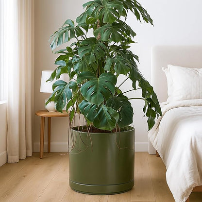 D'vine Dev 14 Inch Ceramic Planter Pot with Drainage Hole and Saucer, Indoor Cylinder Round Planter Pot, Olive, 94-O-G-J