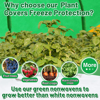 2.0oz/yd² Plant Covers Freeze Protection - 10 x 12 ft Easy of Use Green Winter Plant Frost Blanket Shield for Raised Beds, Reusable Garden Fabric Cloth Floating Row Cover for Outdoor Plants, Small