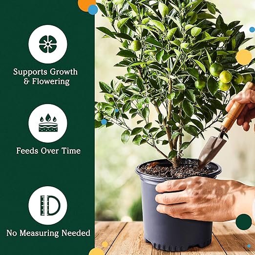 18-6-8 Slow Release Fertilizer for Indoor Plants - Citrus Plant Care, Granules Slow Release Fertilizer for Outdoor Plants, Flowers Plant, Houseplants, Garden Fertilizers by Via Citrus, 2 Pack