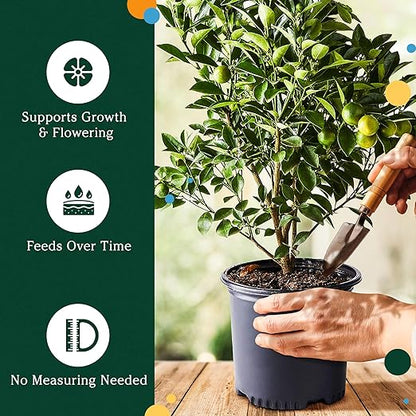 18-6-8 Slow Release Fertilizer for Indoor Plants - Citrus Plant Care, Granules Slow Release Fertilizer for Outdoor Plants, Flowers Plant, Houseplants, Garden Fertilizers by Via Citrus, 2 Pack