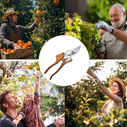 TONMA Bypass Pruning Shears [Made in Japan] 8 inches Professional Garden Shears, Japanese Secateurs Hand Pruner Hedge Clippers, Aluminum Alloy Handle