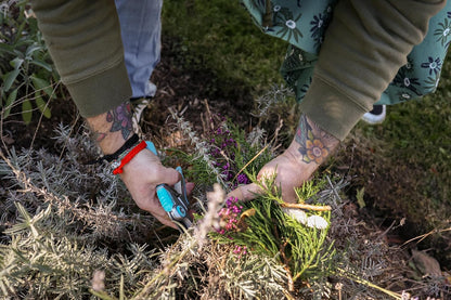 OASIS Forage Branch Cutter | Stainless Steel Precision Engineered Blades | Bright Blue Ergonomic Comfort Grip Handle