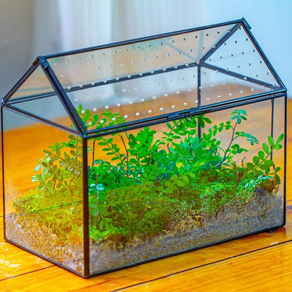NCYP House Shape Glass Terrarium with Acrylic Lid - 10.2x5.9x8.2 Inches Large Geometric Box for Snails, Ferns, Succulents, Air Plants, Indoor Tabletop Decor, Handmade (Terrarium Only)