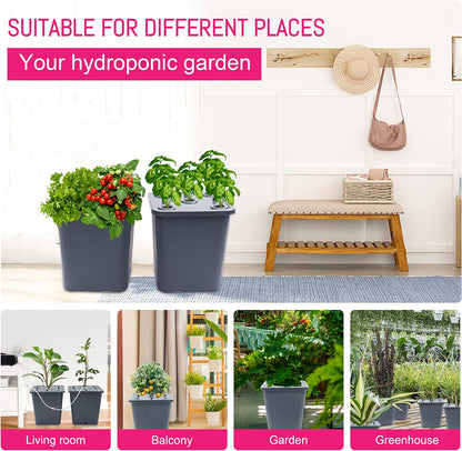 2 Hydroponic Buckets Kit for Plants, Hydroponics Growing System for Herbs/Tomato/Vegetables, DWC System with Air Pump & Germination Tray (Complete Indoor Hydroponic Gardening Supplies)