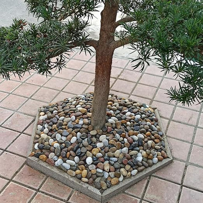 20lbs Large River Rocks for Landscaping, 3-4" Decorative Pebbles for Garden Design, Hand-Picked Smooth Stones for Fish Tank, Flower Pots, Indoor Water Fountains, Pathways, Backyard, Mixed Color