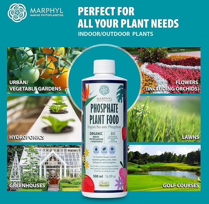 MARPHYL Organic Liquid Phosphate Soil Enhancer. Phosphorus Fertilizer for Garden, Flowers, Vegetables, Succulents, Bamboo, Hydroponics 16.9 oz