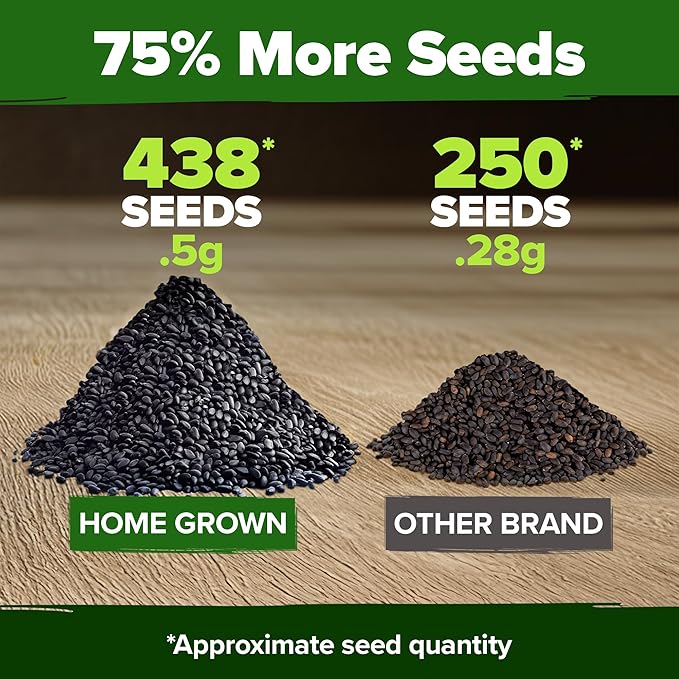 HOME GROWN Thai Basil Seeds Pack - 438 High Germination 𝗡𝗢𝗡-?𝗠𝗢 𝗨𝗦𝗔 Heirloom Herb Seeds for Planting,Ideal for Growing Fresh Basil Planting Indoor or Outdoor(Ocimum basilicum VAR.thyrsiflora)