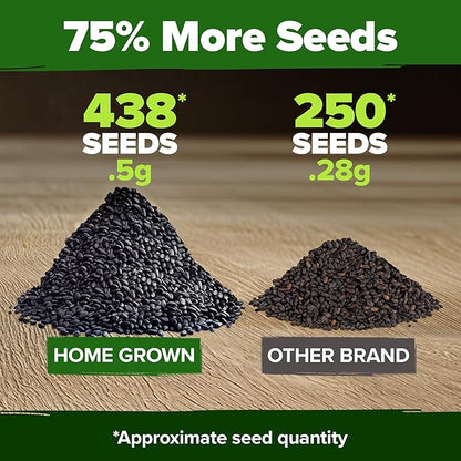 HOME GROWN Thai Basil Seeds Pack - 438 High Germination 𝗡𝗢𝗡-?𝗠𝗢 𝗨𝗦𝗔 Heirloom Herb Seeds for Planting,Ideal for Growing Fresh Basil Planting Indoor or Outdoor(Ocimum basilicum VAR.thyrsiflora)