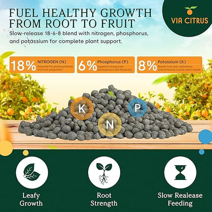 18-6-8 Slow Release Fertilizer for Indoor Plants - Citrus Plant Care, Granules Slow Release Fertilizer for Outdoor Plants, Flowers Plant, Houseplants, Garden Fertilizers by Via Citrus, 2 Pack