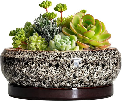 Succulent Planter 6 Inch - Ceramic Bonsai Pots with Drainage Hole and Tray, Shallow Plant Pot Indoor Outdoor, Cactus Succulent Pot, Round Bonsai Planter, Home Decor, Plant Lover Gift, White
