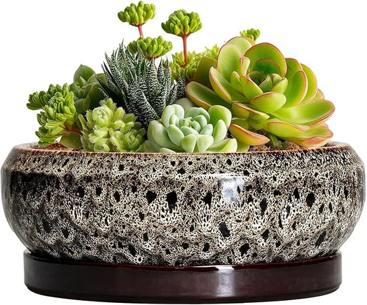 Succulent Planter 6 Inch - Ceramic Bonsai Pots with Drainage Hole and Tray, Shallow Plant Pot Indoor Outdoor, Cactus Succulent Pot, Round Bonsai Planter, Home Decor, Plant Lover Gift, White
